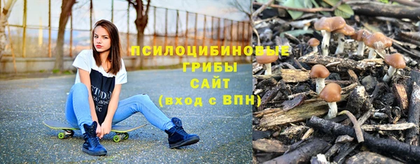 СК Алексеевка