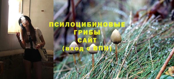 СК Алексеевка