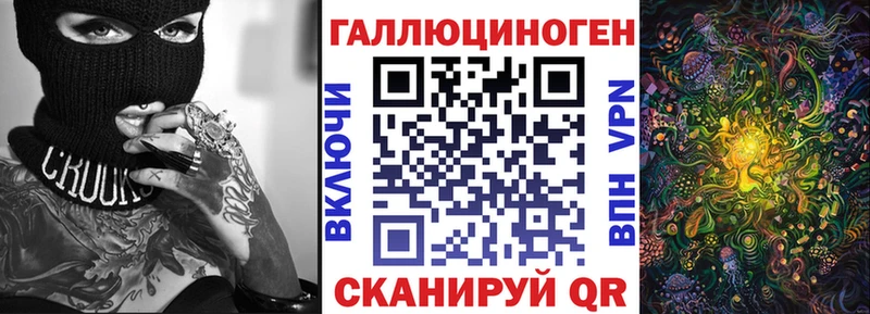 Галлюциногенные грибы Psilocybe Белокуриха